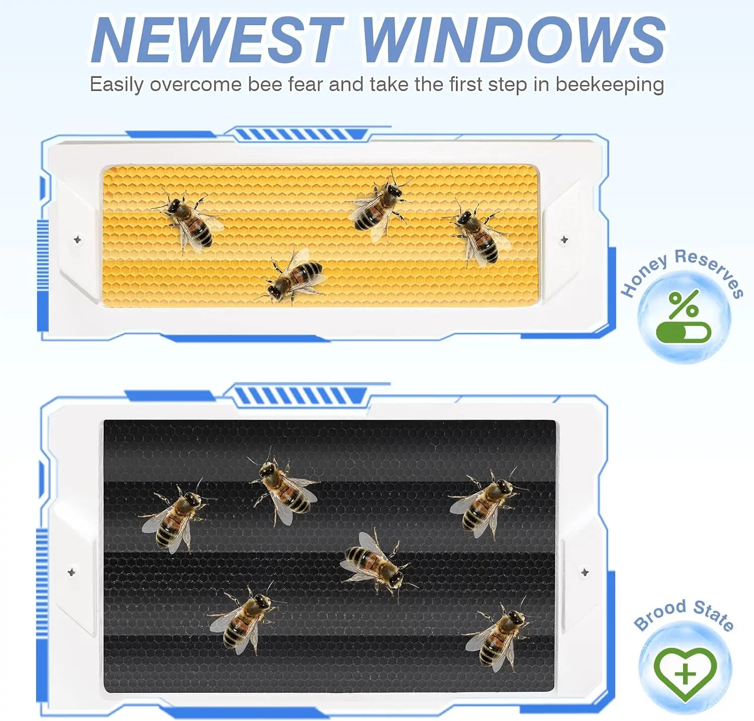 Beekeeper Langstroth 10 Frame Bee Hive Spray Paint Coated Complete Kit Unassembled Frame Foundation Beginner 2 Deep Boxes 1 Supe