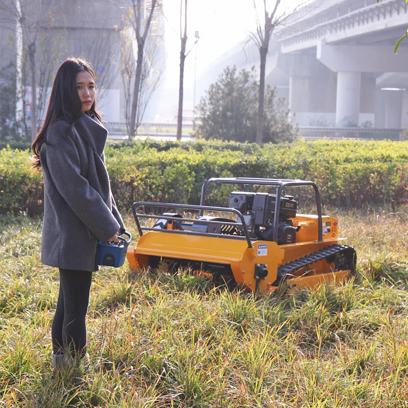 Customized Intellig…