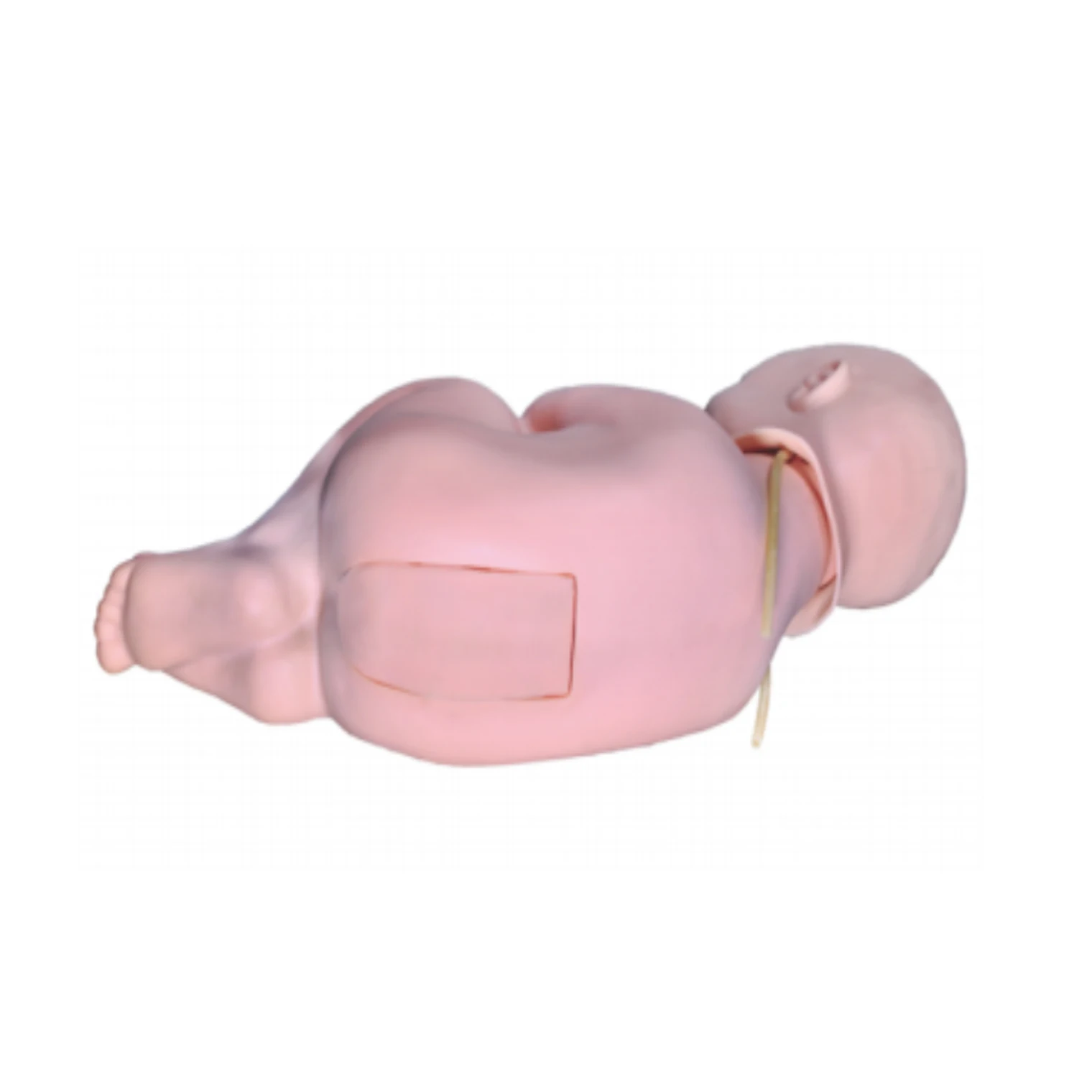 

High Quality Infant Lumbar Puncture Training Doll Medical Nurses Care Pediatric Mannequin