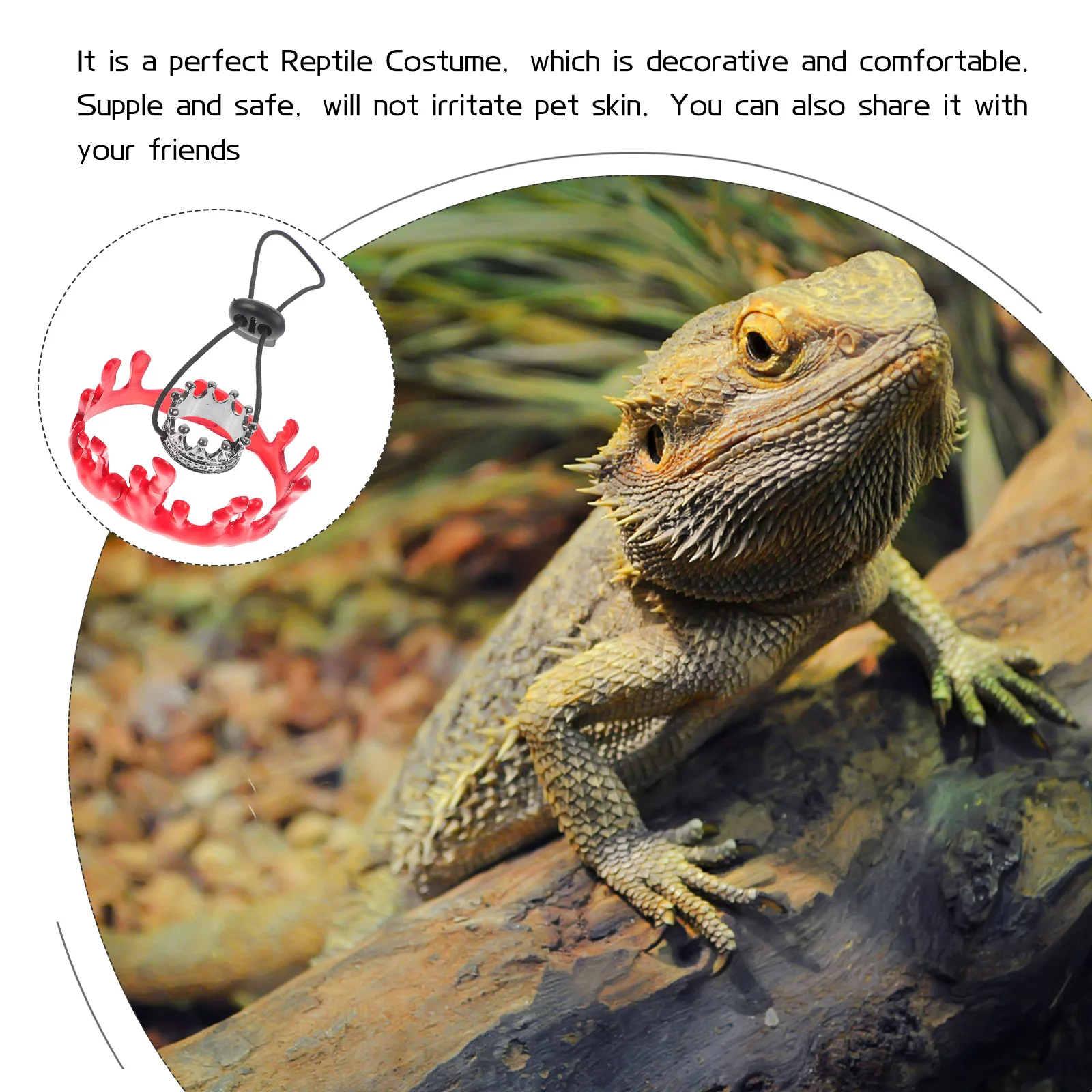 

1Set Crowns Hat Necklace Reptile Costume Small Pet Lizard Halloween Accessories Protective Cosplay Lizard Hat Small Pet Supply