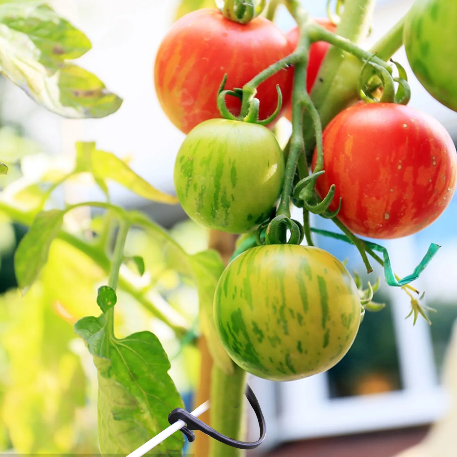 

100Pcs Plant Fixing Clips Durable Plastic Grape Vine Support Clamp Garden Plant Climbing Clip Fruit Tree Branch Clip