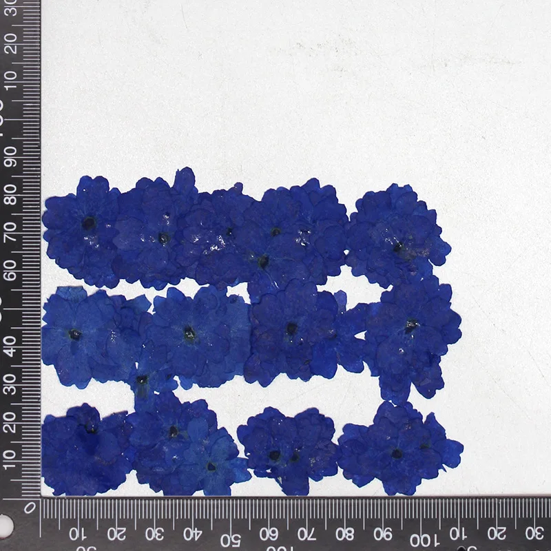 12 Stück, echte getrocknete Blumen, Prägematerialien, DIY-Zubehör für Epoxidharz, für Handyhüllen, Nagelkunst, Gesichtsaufkleber, handgefertigte Dekoration – Detail 24