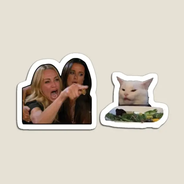 Woman Yells At Cat Meme  Magnet for Fridge Organizer Decor Home Holder Refrigerator Stickers Children Colorful Magnetic Kids