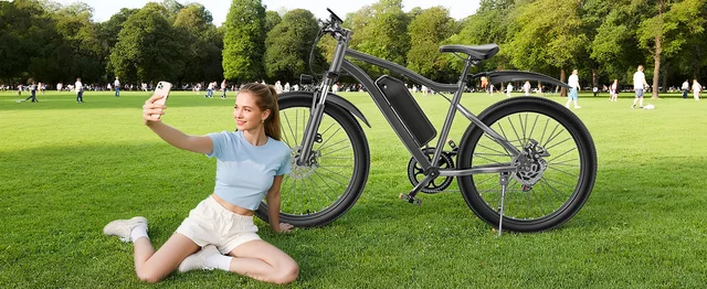 Electric Bicycles-T6