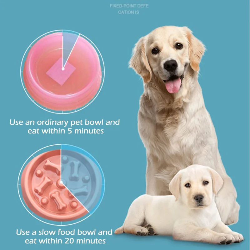 Wholesale Anti Chocking Dog Bowl Factory Manufacture Slower Feeder Dog Bowl High Quality PP Anxiety Relief Pet Feeding Food Bowl