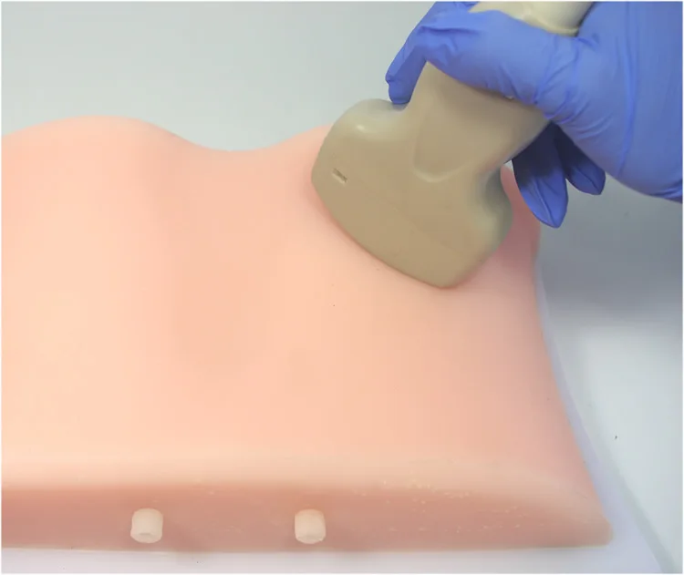 

Медицинская наука Ультразвуковая управляемая модель почетного прокола для преподавания Учебная модель ультразвука и почетного интервента