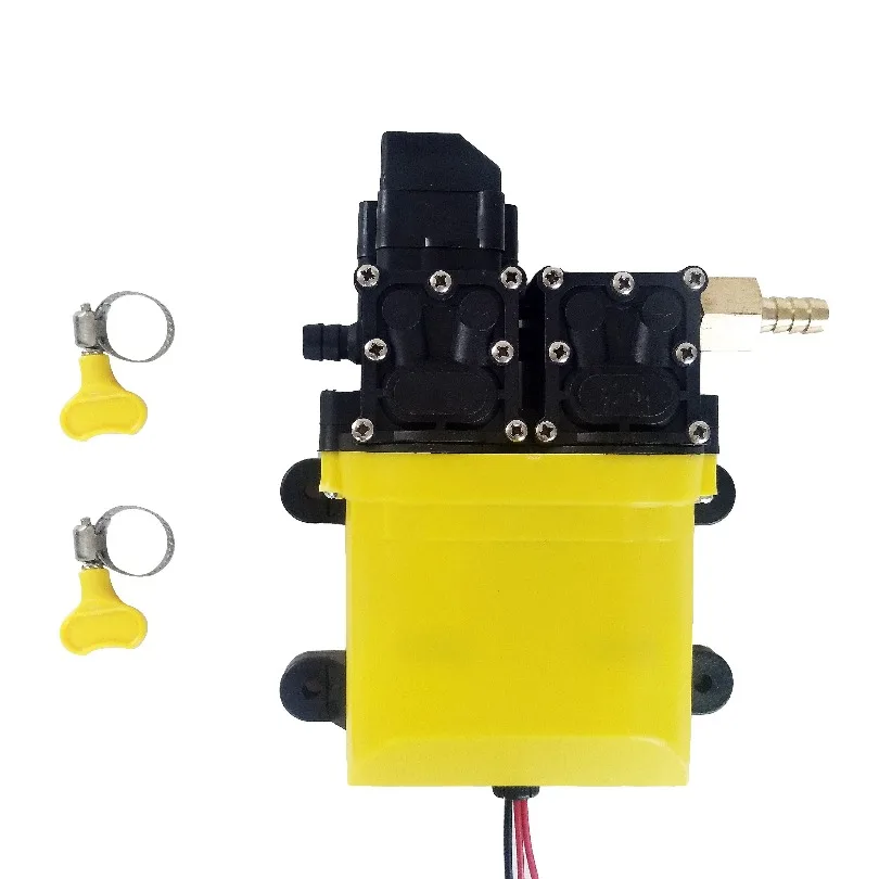 DP100 Smart Dual Pump DC Diaphragm Pump 6V 12V 18V 24V 36V 48V 120W for Car Washing Sprayer Disinfection