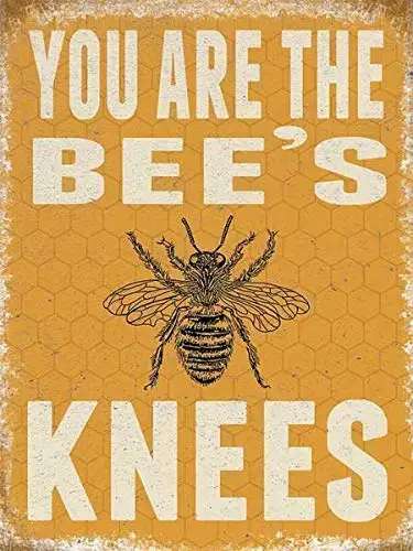 Bee's Knees Gift Theme Retro Wall Decor Metal Tin Sign 8x12 Inch Vintage Bar Club Home Restaurant Kitchen Garage Or Gift