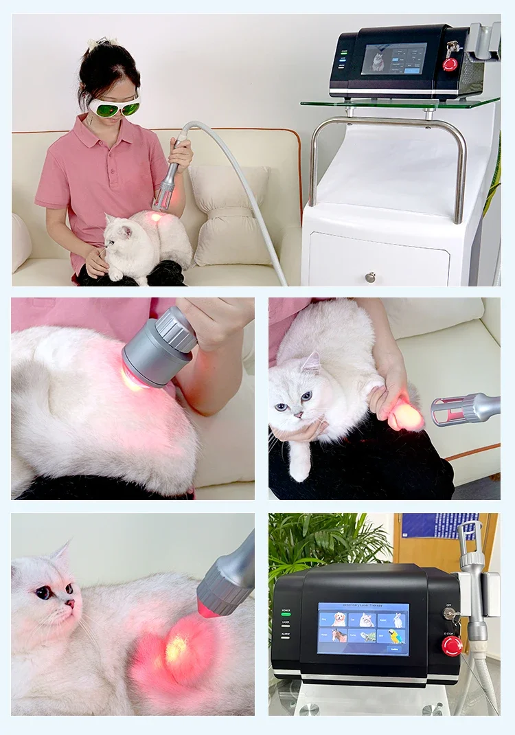 Infrared 10w 20w 30W Class 4 Therapy  Pain Relief System 980nm 810nm Class IV Therapy  Physical Therapy