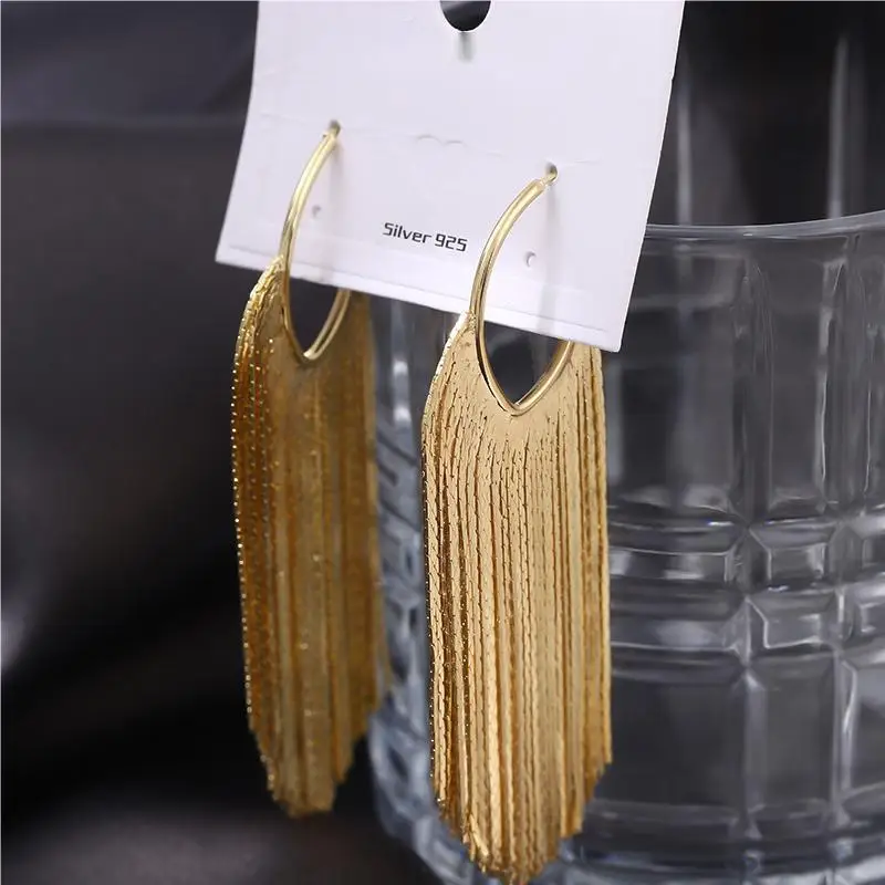 Personality Trend New Vacation Style Exaggerated Long Tassel Earrings Women Temperament High End Niche Ear Needle Exquisite