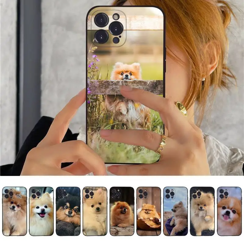 Pomeranian dog Phone Case For iPhone 14 11 12 13 Mini Pro XS Max Cover 6 7 8 Plus X XR SE 2020 Funda Shell