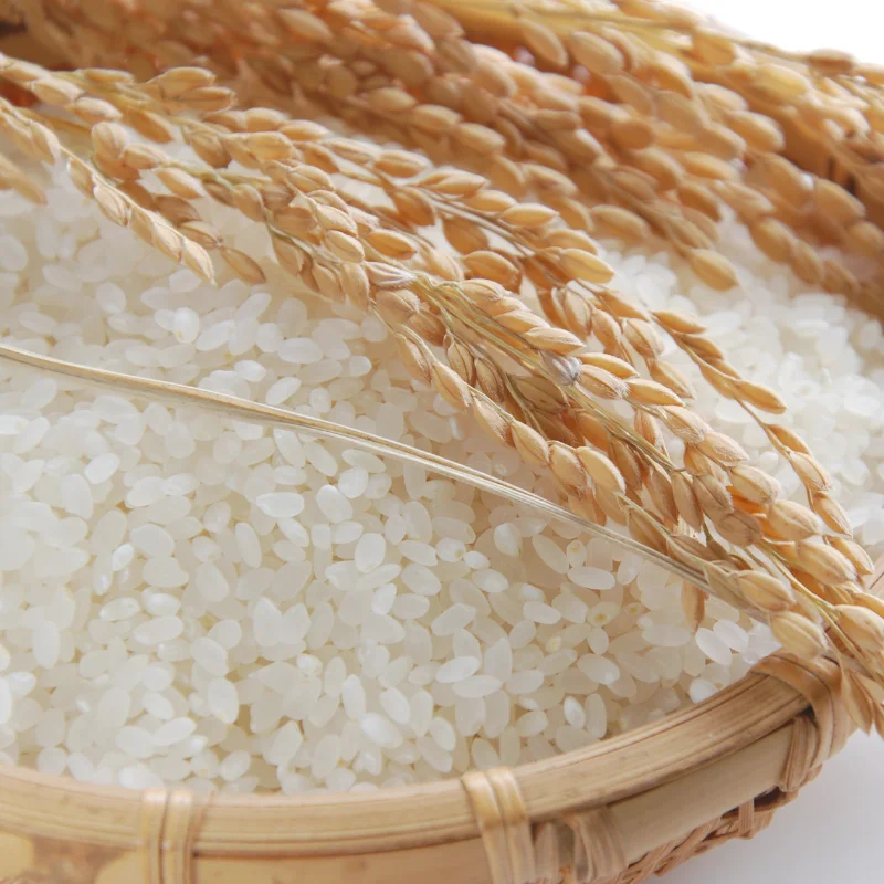 2025 حصاد الأرز الطازج، Suhyangmi (الدرجة الممتازة)، 10 كجم، مصقول طازج في نفس اليوم