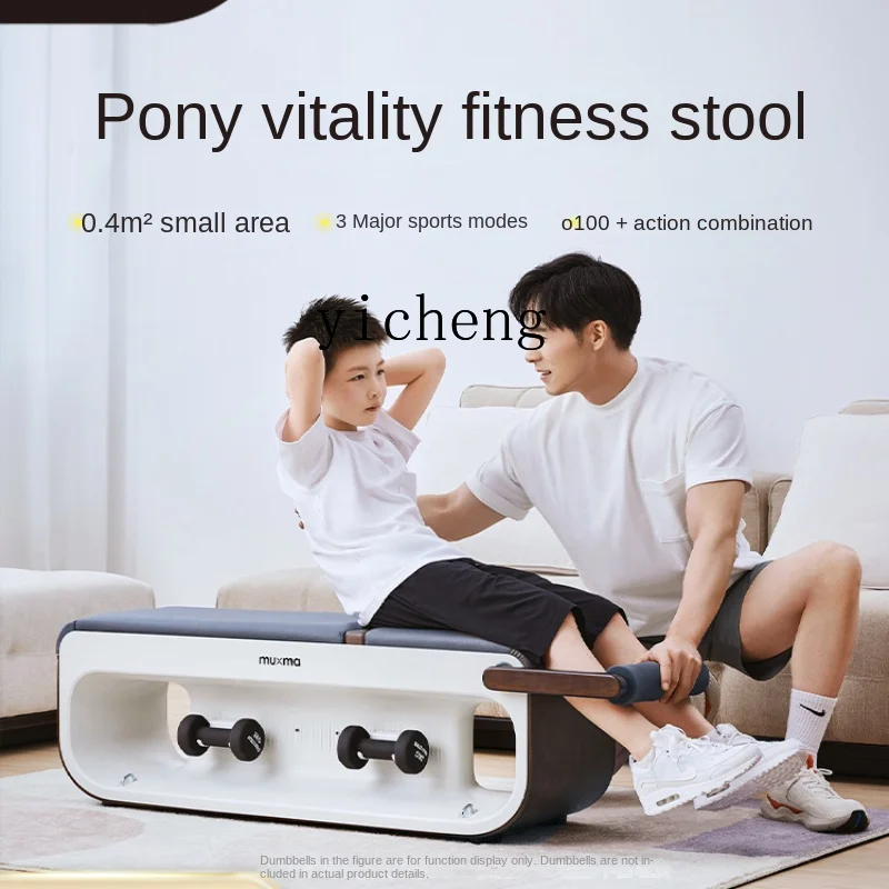 Zc Vitality Sports Fitness Stool Chair Dumbbell Press Household Flying Bird Multi-Functional Integrated Power Station