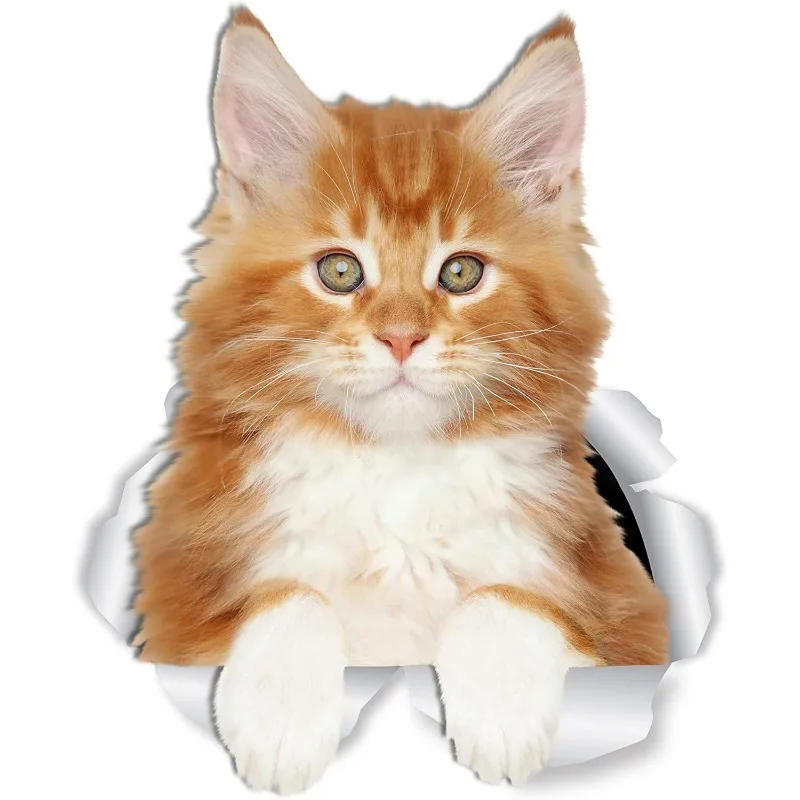 

Maine Coon Cat Наклейки на стены Tabby Maine Coon Kitty Cat Туалетная наклейка 3D Наклейка на окно автомобиля и бампер Розничная упаковка 15 см ПВХKK