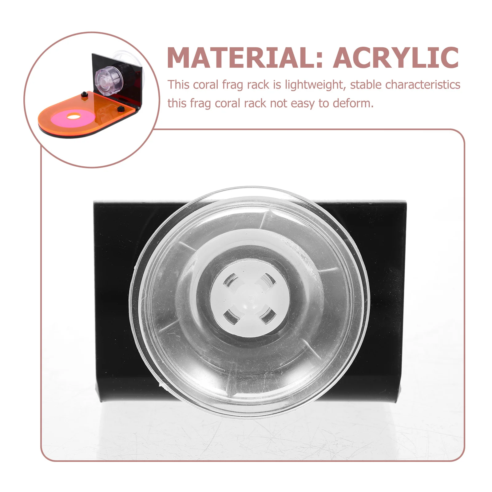 

Fluorescent Coral Frag Base Premium Acrylic Material for Aquarium Coral Holder Breeding Stand Fish Tank Decor Supply