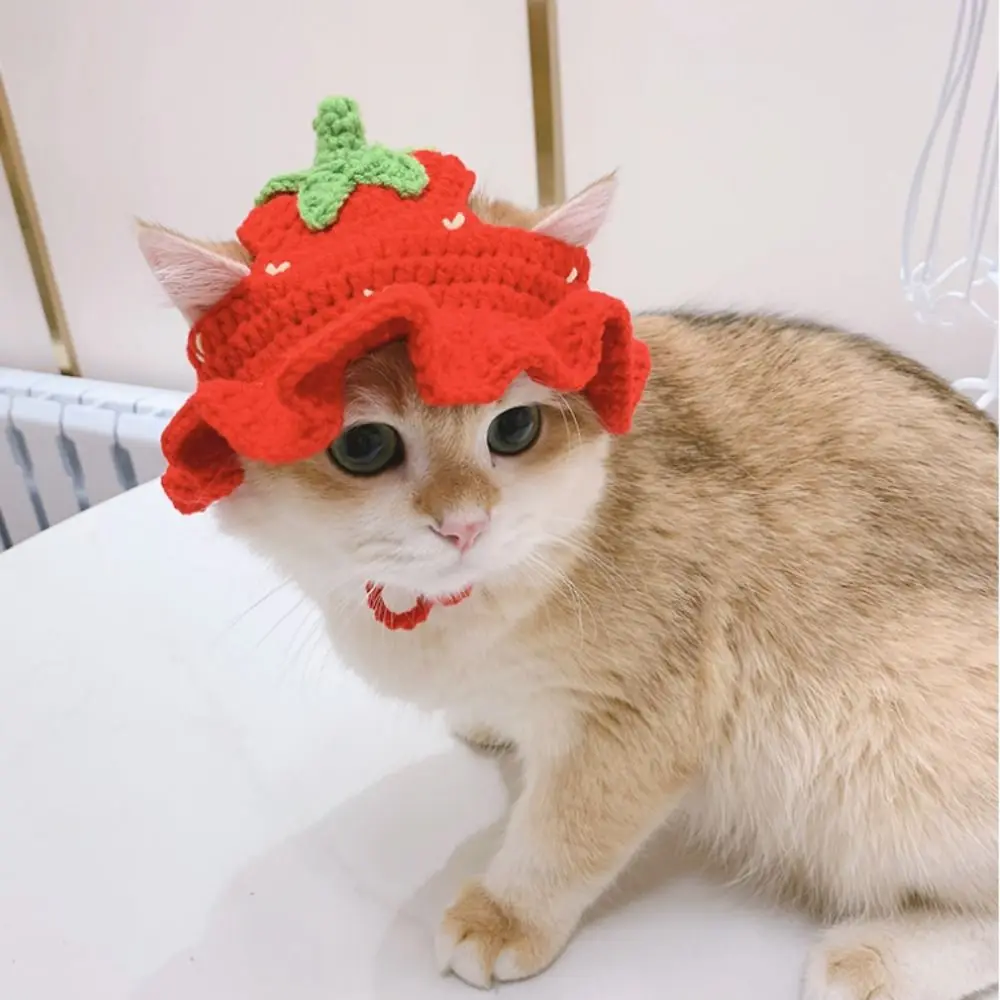 Cartoon Cute Warm Crochet Elastic Cat Hat for Party Photo Props Pet Cap Frog Hat