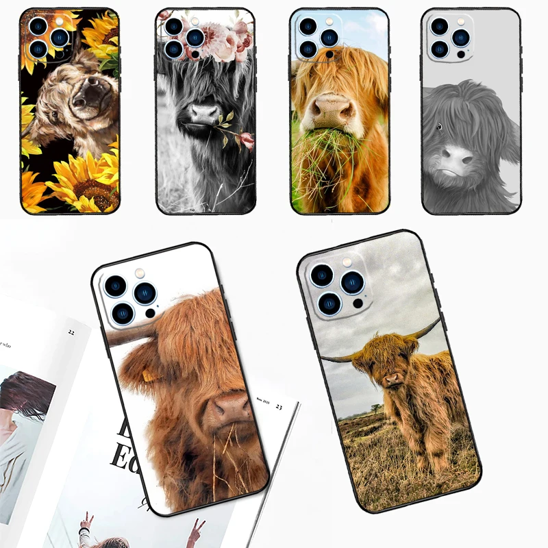 Cute Highland Cow F… - image