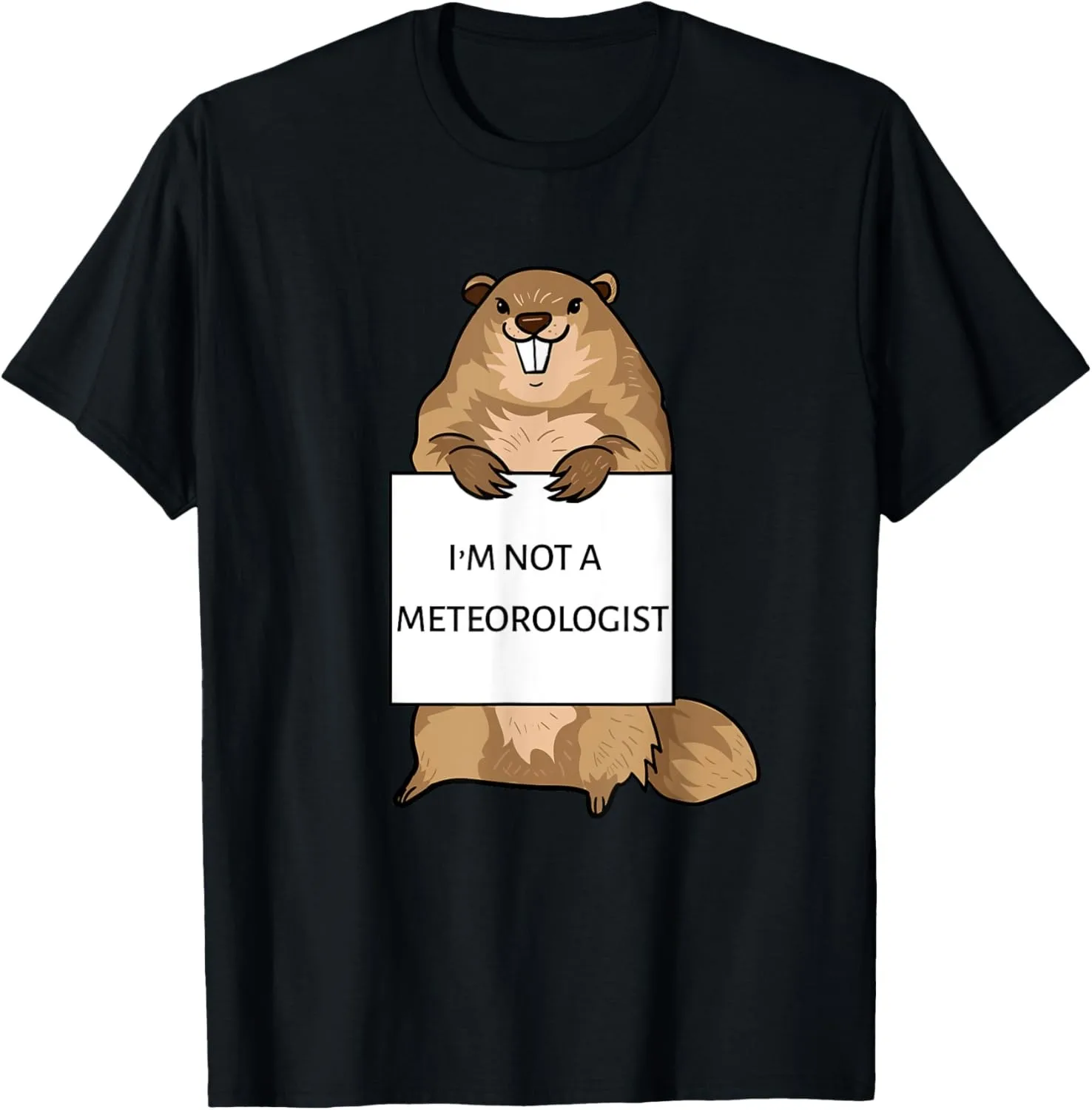 Groundhog Day Funny Quote Not Meteorologit Sign Saying Fun T-Shirt