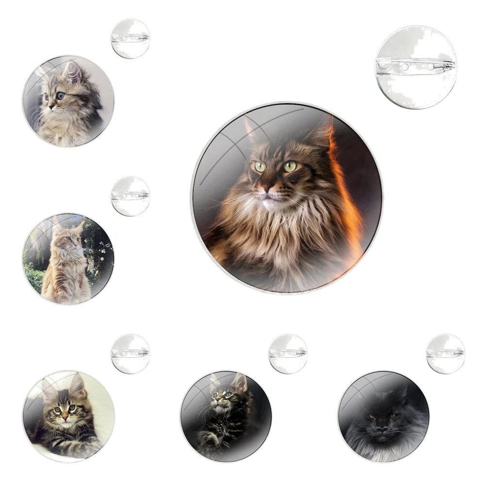 Badge Brooch Pin Accessories For Clothes Backpack Decoration gift pet maine coon cat