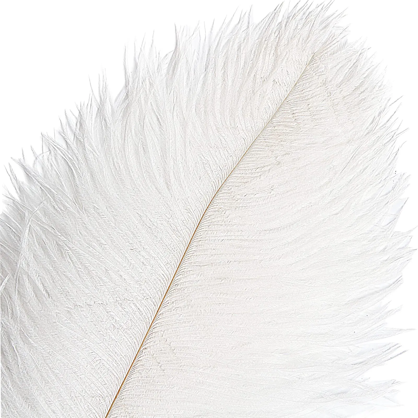 10Pcs 60–65cm Large Ostrich Feathers for Wedding Party Decoration Table Centerpieces Vase Plume Accessories DIY Decor