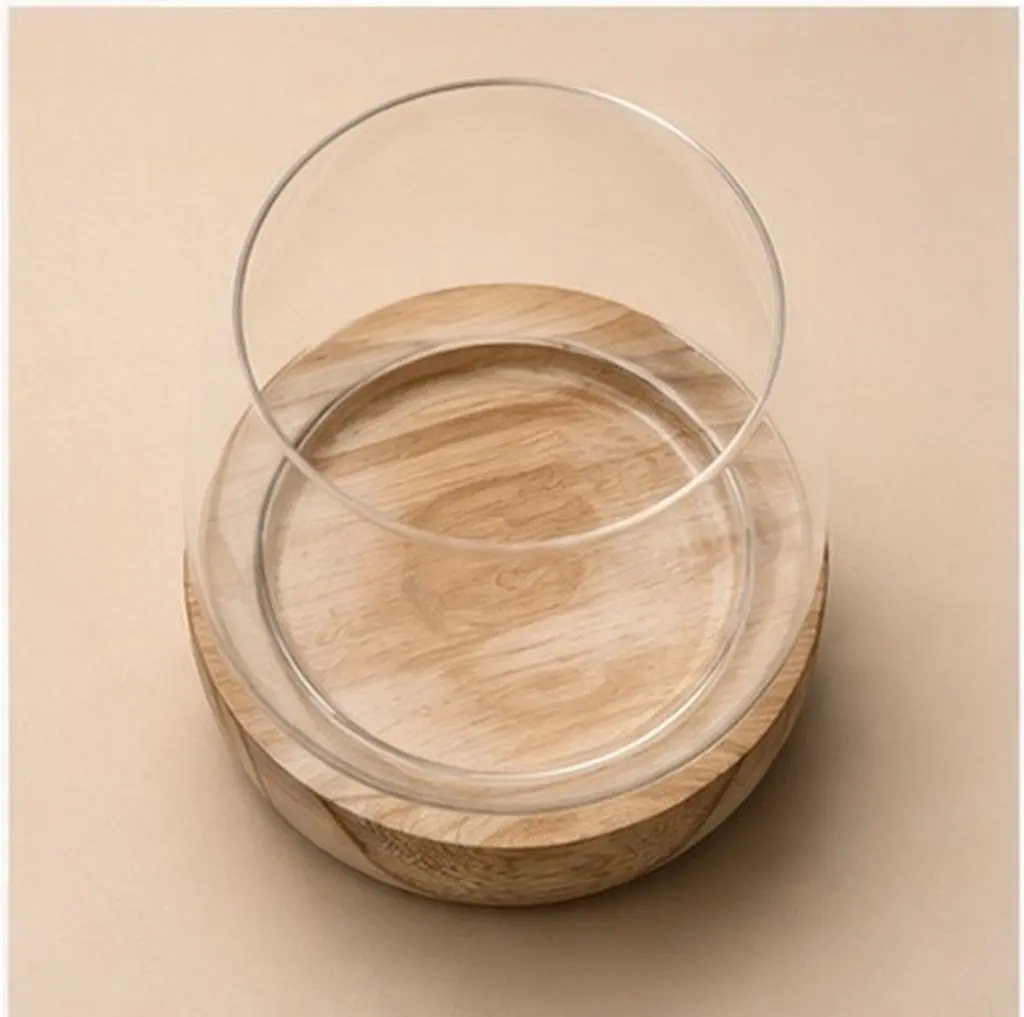Premium Glass Micro Landscape Bottle Multi-Functional Decorative Vase for Home Hotel Dining Room Bedroom Bathroom Small Fish