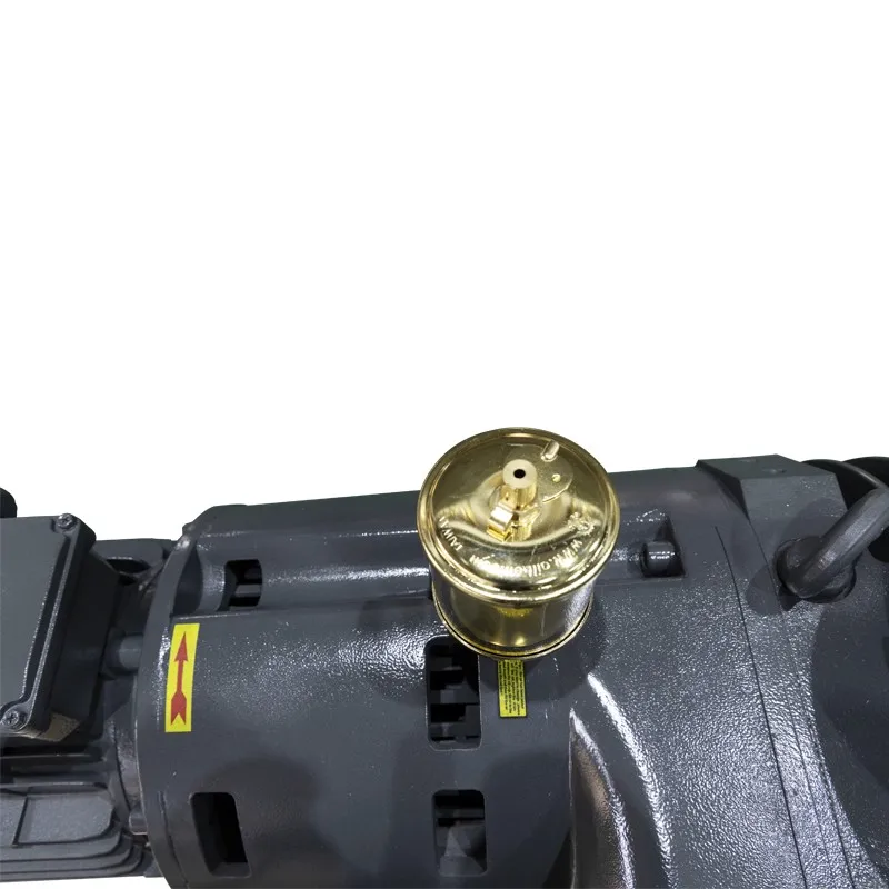 Heavy Duty Industrial 100m3/h 0.5Pa High Vacuum Rotary Air-cooled Roots Blower Vacuum Pump for Vacuum Coating