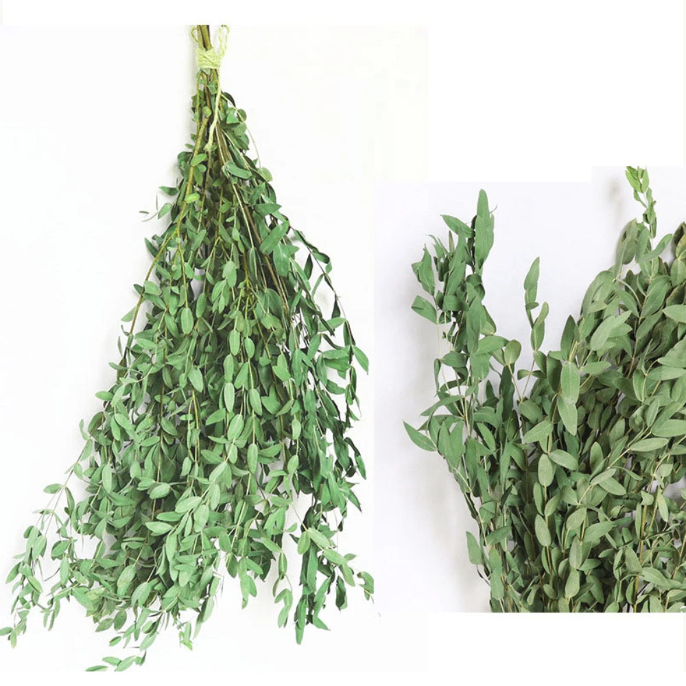 Preserved Eucalyptus Leaves Dried Green Plants Home Decoration Hanging Flowers Hotel Bathroom Flower Arrangement DIY Material