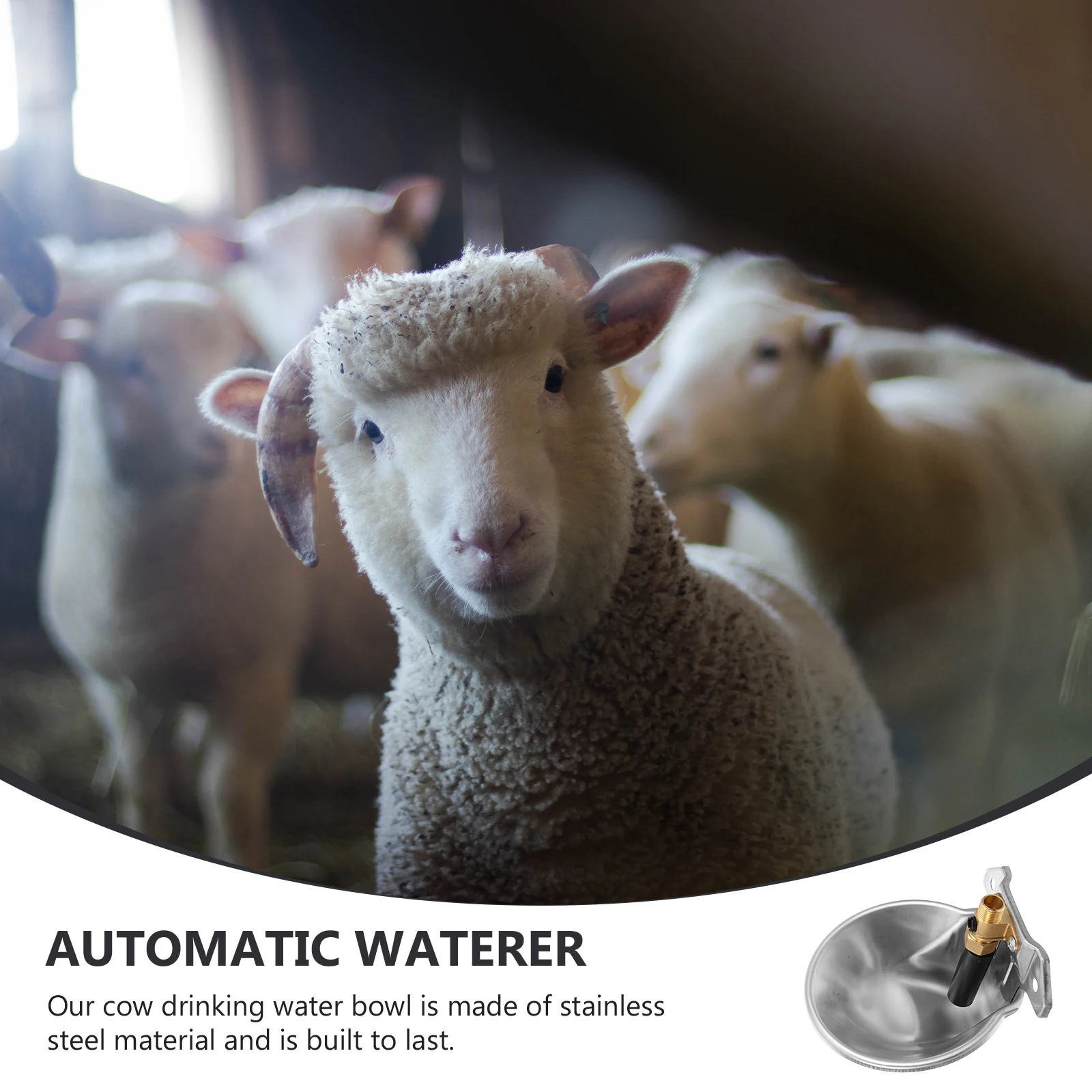 

Automatic Drinking Fountain Stainless Steel Cattle Bowl Plastic Waterer Cows Sheep Feeder