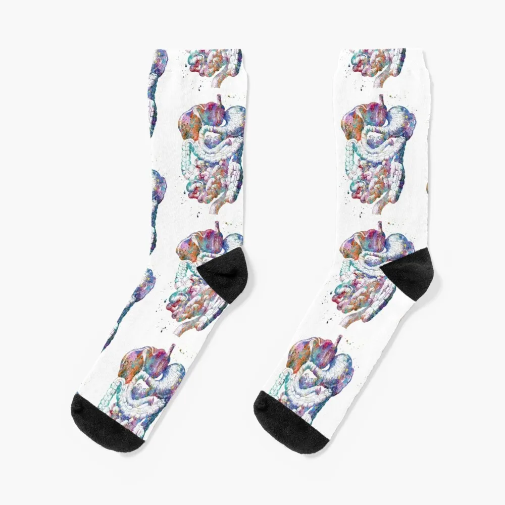 

Human Digestive System Socks Stockings Compression Running Socks Man