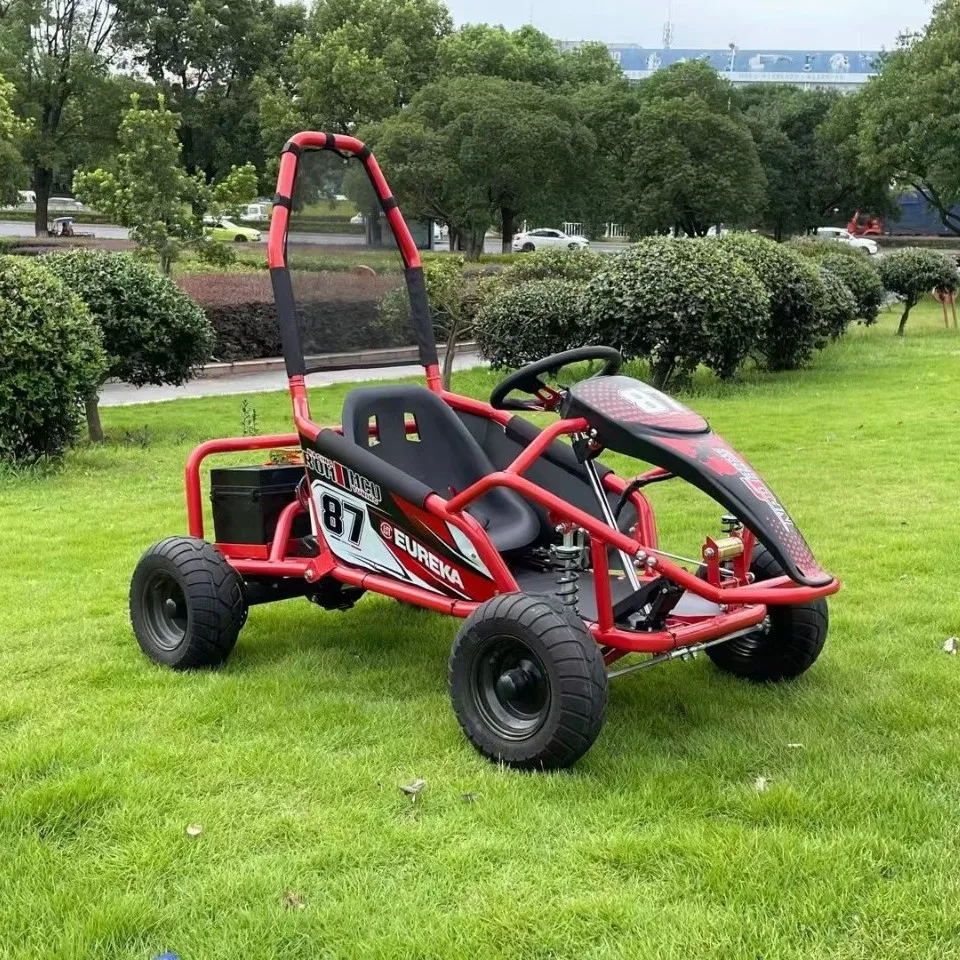Off Road Go Kart, 48V Electric Dune Buggy, Drift Kart for Adults, All Terrain Vehicle, Park Rental, Outdoor Adventure Cart