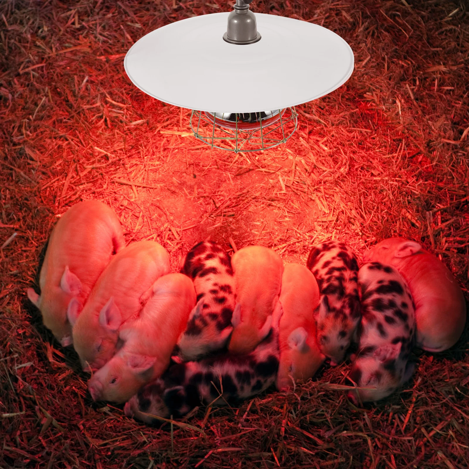 

1pc Heating Lampshade Metal For Chicken Coop Sheepfold Reptile Tank Accessories Livestock Supplies Bulb