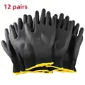 Black 12 pairs