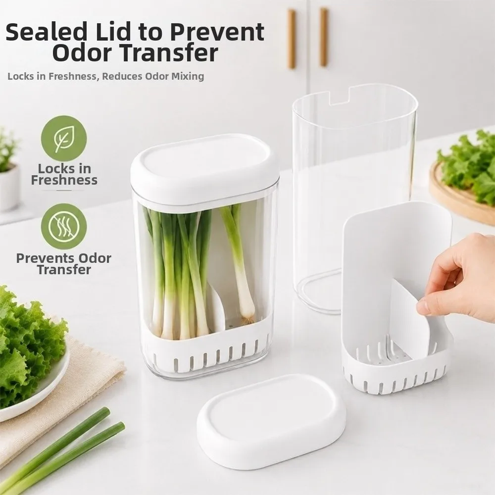 Clear Cilantro Hydroponic Box Preservation Space Saving Vegetable Container With Lid With Drainage Produce Saver Container