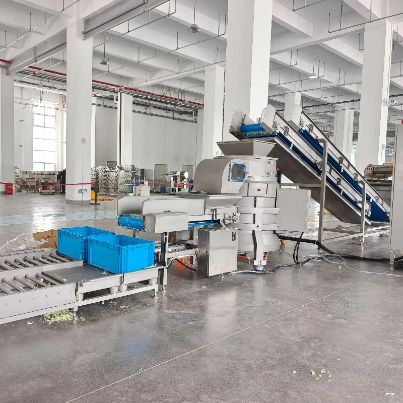 Customized Automatic Continuous Vegetable and Fruits Processing Line for School hospital canteens  Central Kitchen & Catering