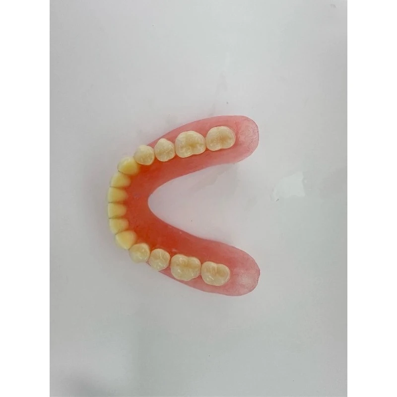Full Senior Teeth Full Teeth Model Display Supplies Full Dentures Removable Dentures Prosthodontics Dental Student Training