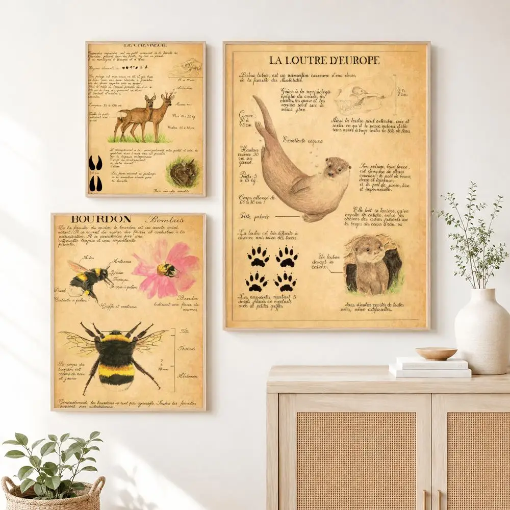 Bat Turtle Deer Wildlife Anatomy Laboratory Institute Poster Room Home Decoration Interior Wall Art Printing Garage Posters Gift view 3
