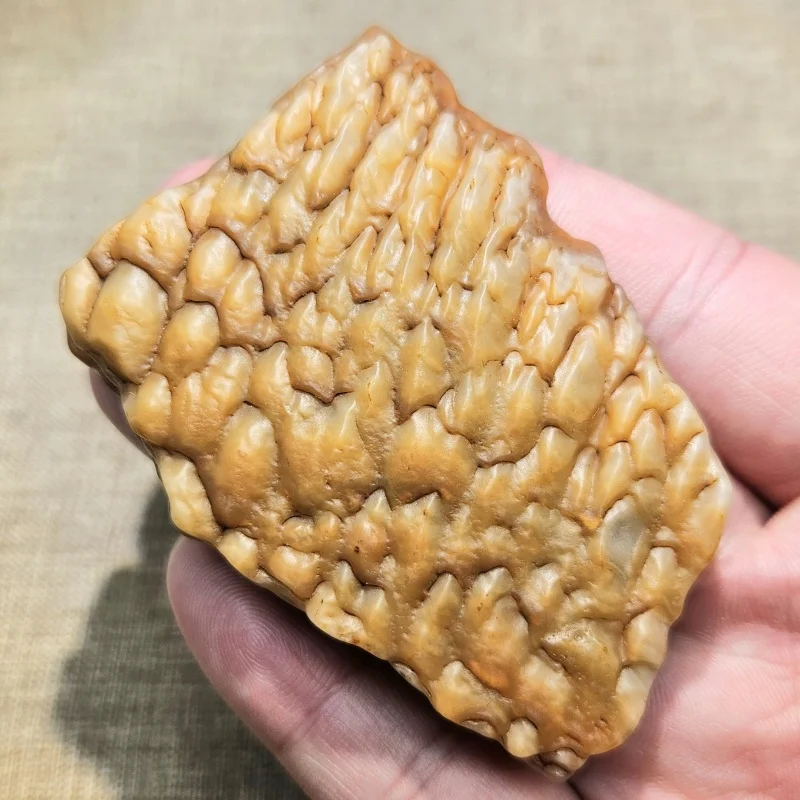 Rare Natural Stone Inner Mongolia Agate With Dragon Scale Pattern Gemstone Animal Shaped Stone Decorative Home