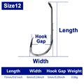 Size12