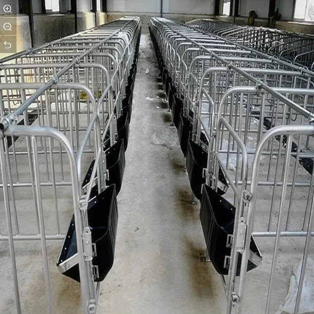 

The Sow Positioning Bar Limit Bar High-quality Gestation Stall Crates Pig Cage For Pig Farm