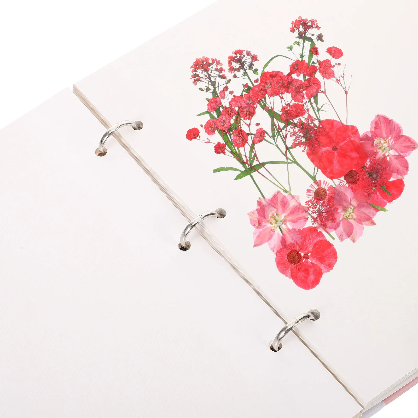 كتاب عينة نباتية لزجة متعددة الوظائف سهل إزالة ألبوم تخزين الزهور المجففة ألبوم مجموعة الزهور المضغوطة أوراق فضفاضة