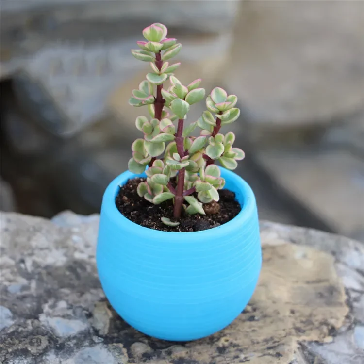 Succulent Flower Pot Mini Stone Ball Flowerpot Rainbow Pot PP Resin Plastic Pot Plant Pots Decorative Planters Pots for Plants