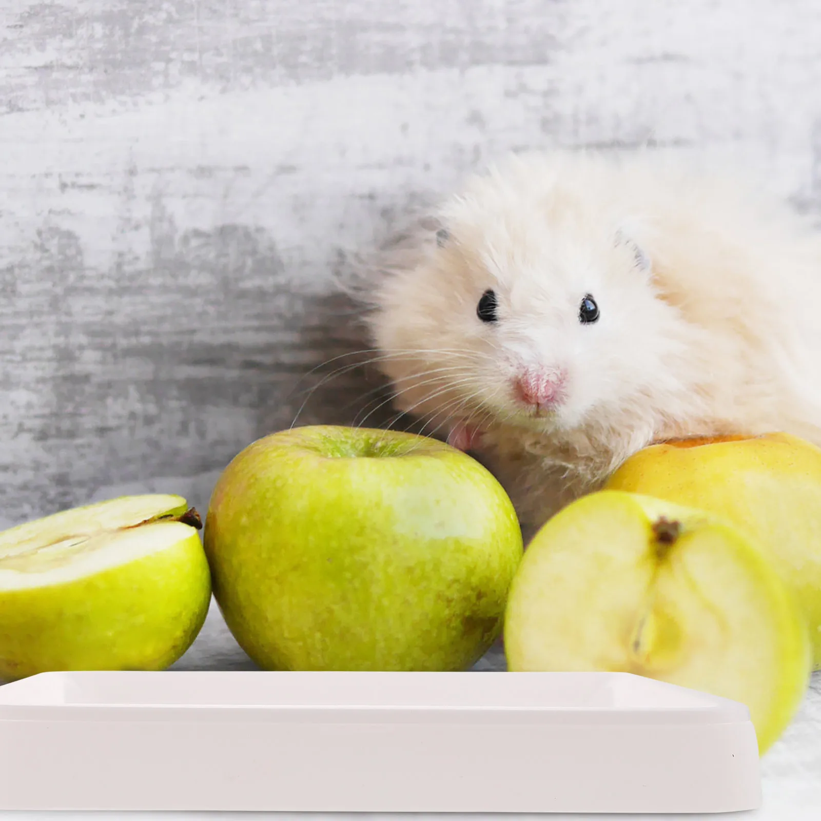 Suministros de limpieza para mascotas, caja de arena grande para conejitos, jaula fija, inodoro, orinal para conejos, Base gruesa antideslizante, caja de arena para conejitos