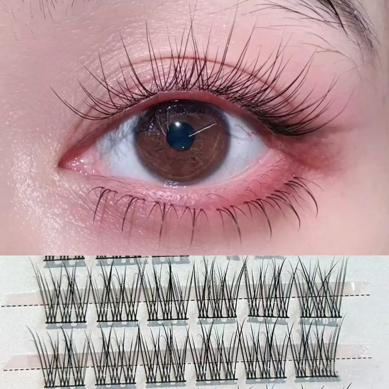 Herorange All-In-One Lash Book Upper Lower Mixed Styles Wildcat Camellia Flame Fish Tail Long Lasting DIY Eye Makeup