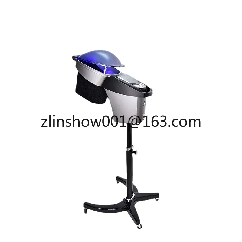 Big Micromist Professional Ultrasonic Micro Mist Ozone Hair Salon Steamer With Stand&Hair SPA Standing O3 Hair Steamer