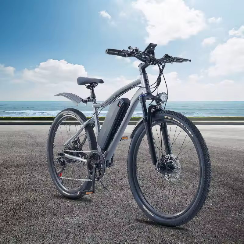 Bicicleta Elétrica 36V 350W Shimano 7 Velocidades Bicicleta Elétrica 36V 350W Shimano 7 Velocidades