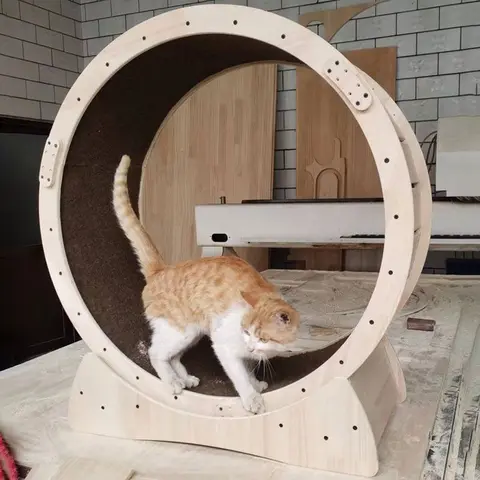 단단한 나무 고양이 러닝 머신 작은 러닝 휠 대형 고양이 러닝 머신 롤러 애완 동물 피트니스 애완 동물 장난감 침묵 스포츠 트랙 애완 동물 용품