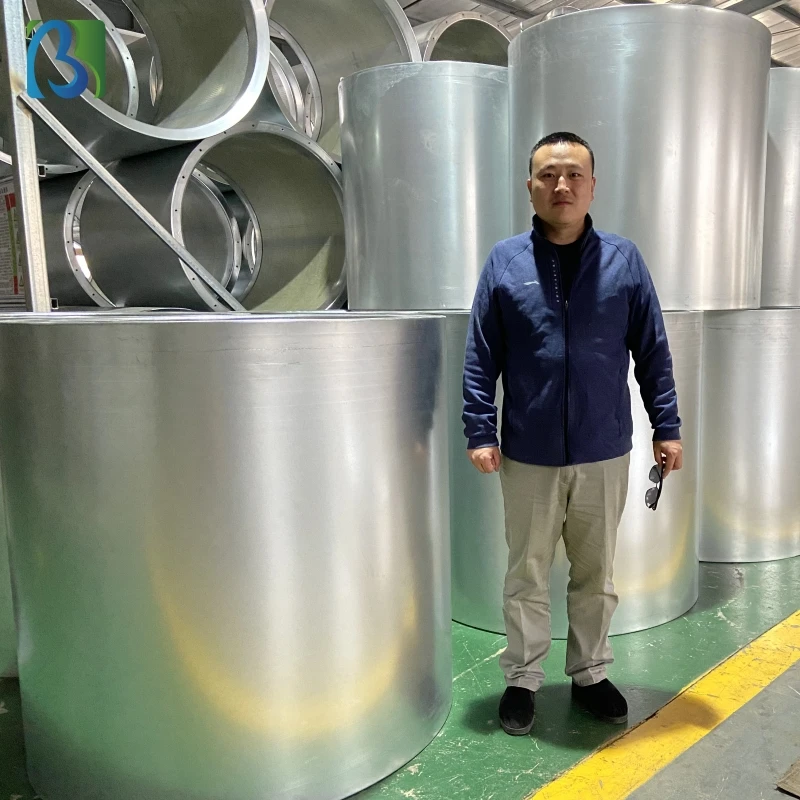 Ventola assiale antideflagrante a risparmio energetico Ventola di ventilazione a basso rumore 380 V/220 V supporta il motore di alimentazione