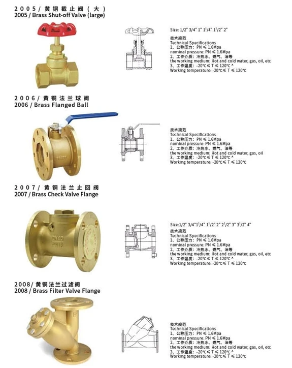 TF Brass flange swing check valve 1/2