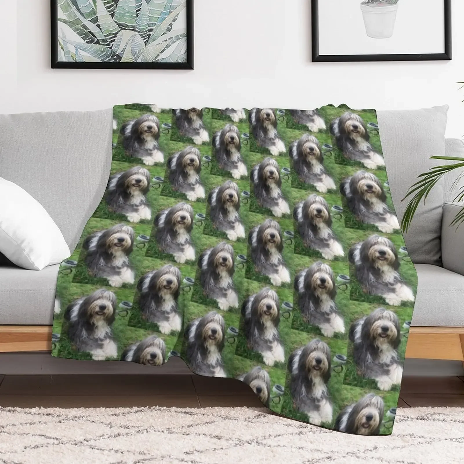 Bearded Collie - Happy Chappy Beardie Throw Blanket valentine gift ideas for sofa Blankets