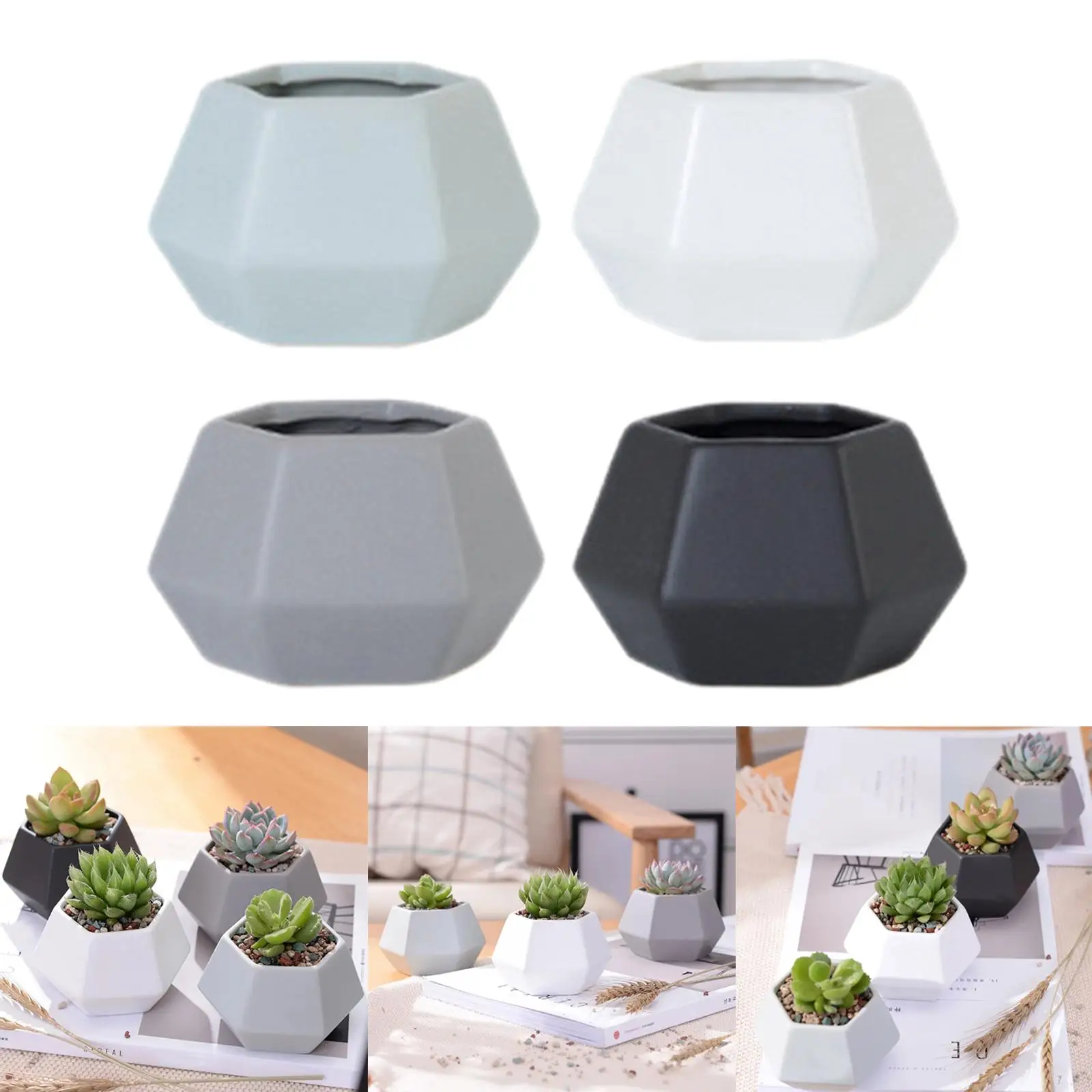 4 Pack Geometry Simpe Design Planter Pots Cactus for Home Window Decor NOT